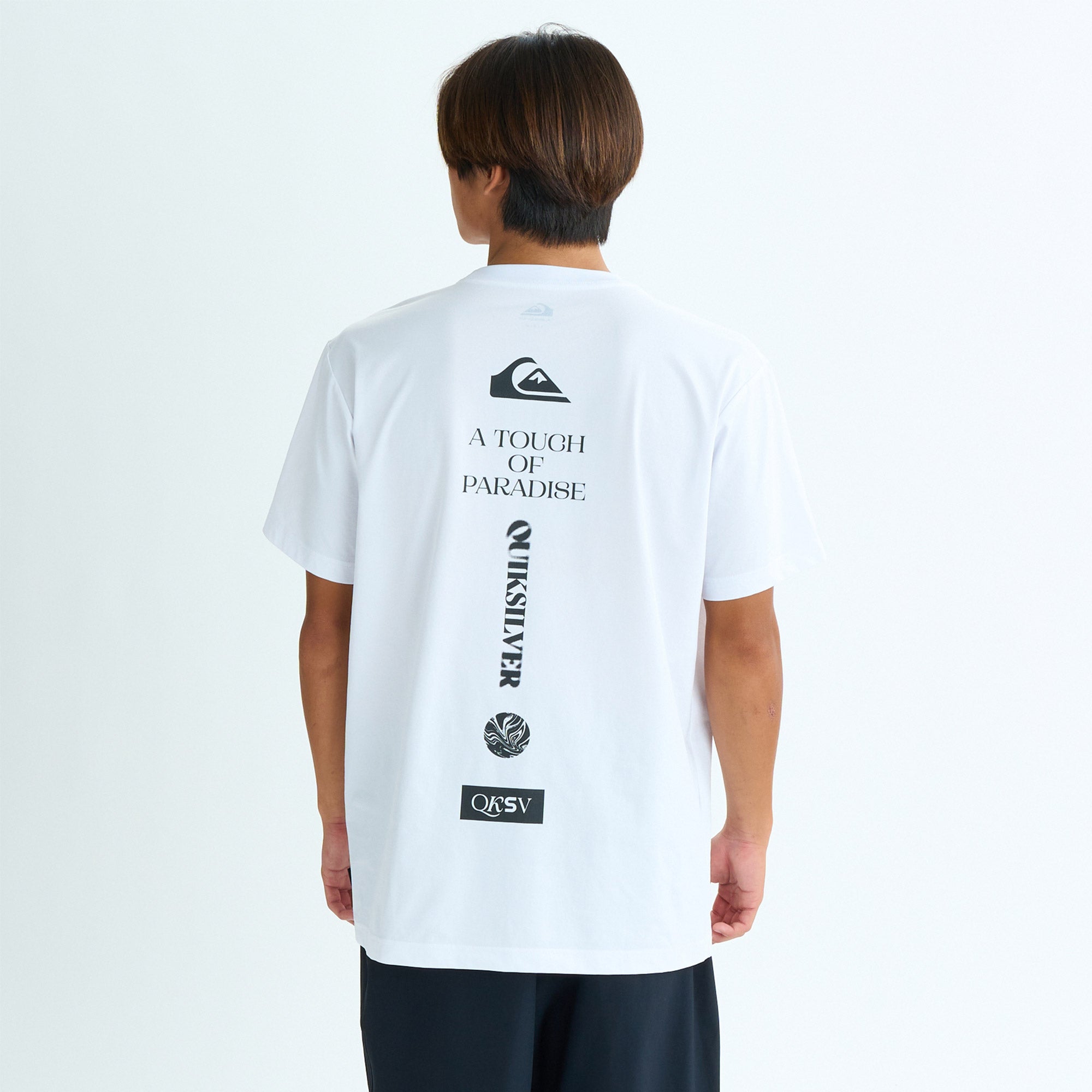 クイックシルバー QUIKSILVER VERTICAL LOGO SS QLY252007 半袖