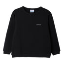 バレーループトレイルクルーネックスウェットシャツ PY0202 トレーナー 2カラー