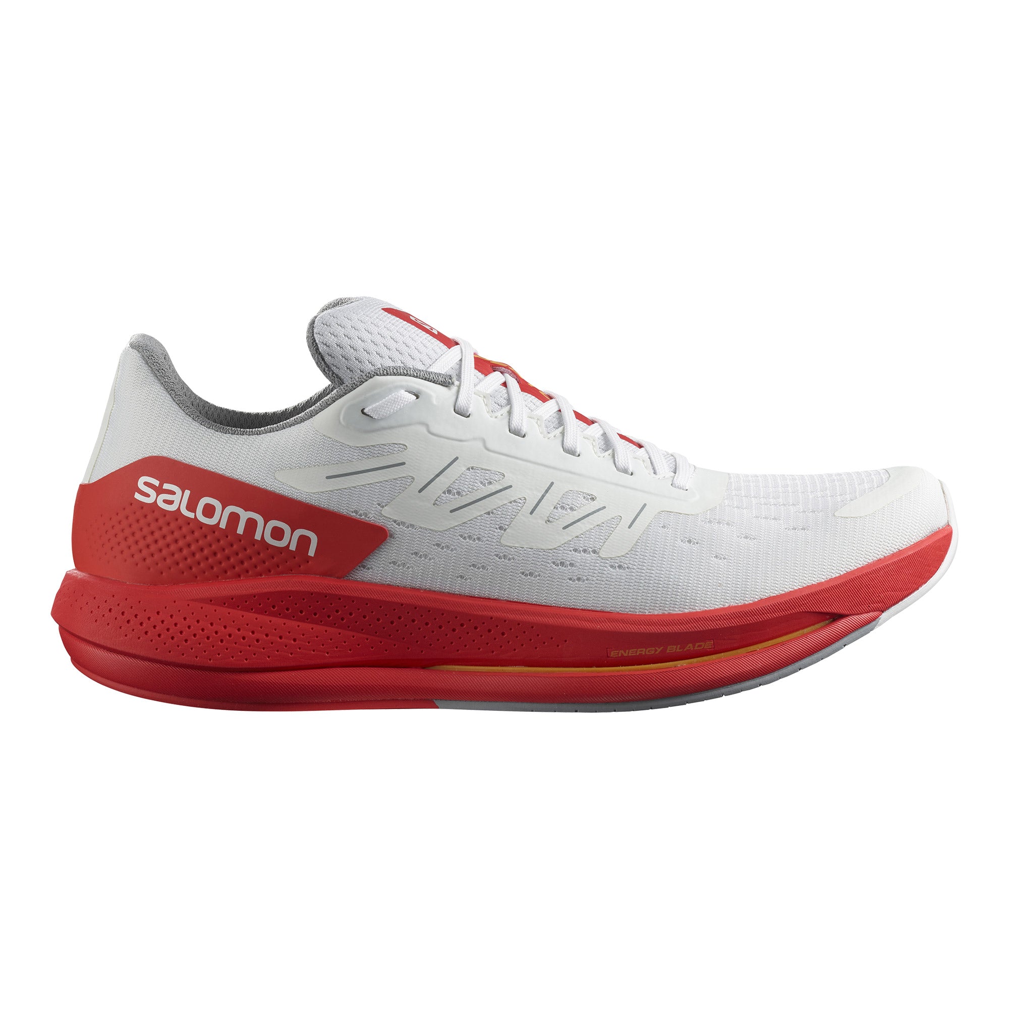 サロモン SALOMON SPECTUR L41749000 L41589600 L41589900 ランニング 