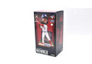 Vladimir Guerrero Jr Toronto Blue Jays Bank Bobblehead ボブルヘッド 1カラー