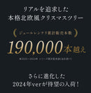 北欧風 クリスマスツリー ヌードツリー 60cm