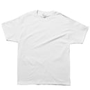 ADULT 6oz SHORT SLEEVE TEE T425 半袖Tシャツ 20カラー