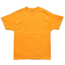 ADULT 6oz SHORT SLEEVE TEE T425 半袖Tシャツ 20カラー