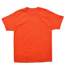 ADULT 6oz SHORT SLEEVE TEE T425 半袖Tシャツ 20カラー