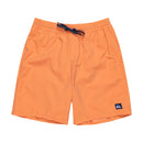 EVERYDAY SOLID VOLLEY 19 EQYJV04137 ボードショーツ 5カラー