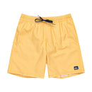 EVERYDAY SOLID VOLLEY 19 EQYJV04137 ボードショーツ 5カラー