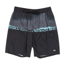 EVERYDAY WORDBLOCK VL 19 QBS251002 ボードショーツ 3カラー