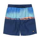 EVERYDAY WORDBLOCK VL 19 QBS251002 ボードショーツ 3カラー