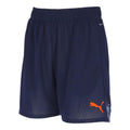 INDIVIDUAL PUMAFTBL プロ ニット ショーツ 660125 ハーフパンツ 2カラー