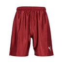 リーガ ショーツ コア 729969 ショートパンツ 11カラー