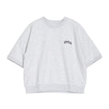 ARCH MINI RVCA SWEAT ST BE043220 半袖トレーナー 2カラー