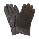 DALEGAR TH GLOVES MGL0097 手袋