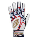 両手用 ベクターカモ2 ハイパーグリップ EBG24S05 バッティンググローブ 6カラー