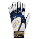 両手用 ベクターカモ2 ハイパーグリップ EBG24S05 バッティンググローブ 6カラー