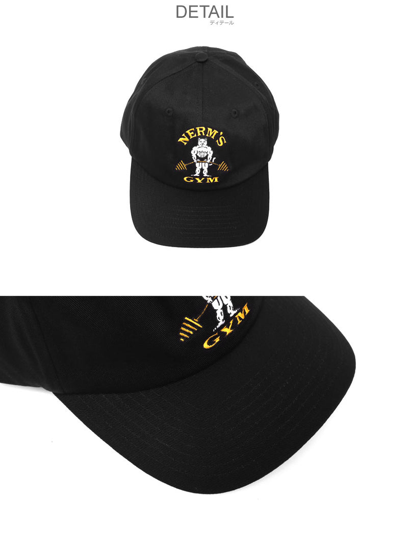 RIPPED N DIPPED 6 PANEL RND9999 帽子