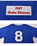オーセンティック アンドレ・ドーソン シカゴ・カブス 1987 プルオーバージャージ ABPJ3075-CCU87ADAROYA ゲームシャツ 1カラー