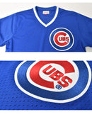 MLB AUTHENTIC RYNE SANDBERG CHICAGO CUBS 1984 PULLOVER JERSEY ABPJ3068-CCU84RSAROYA ユニフォーム ブルー 青 1カラー
