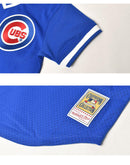 MLB AUTHENTIC RYNE SANDBERG CHICAGO CUBS 1984 PULLOVER JERSEY ABPJ3068-CCU84RSAROYA ユニフォーム ブルー 青 1カラー