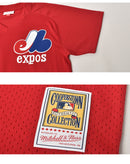 オーセンティック ティム・レインズ モントリオール・エクスポズ 1989 プルオーバー ジャージ ABPJ3056-MEX89TRASCAR ゲームシャツ 1カラー