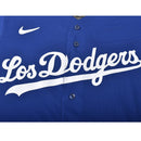 OFFICIAL AUTHENTIC JERSEY CITY CONNECT 8900-LDCC-LD-ZVC ユニフォームシャツ