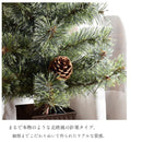 北欧風 クリスマスツリー 60cm クリスマスツリー グリーン 緑 1カラー