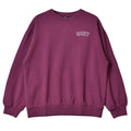 スウェットトップ PEANUTS PULLOVER RPO224801 スウェット ブラック 黒 ホワイト 白 パープル 3カラー